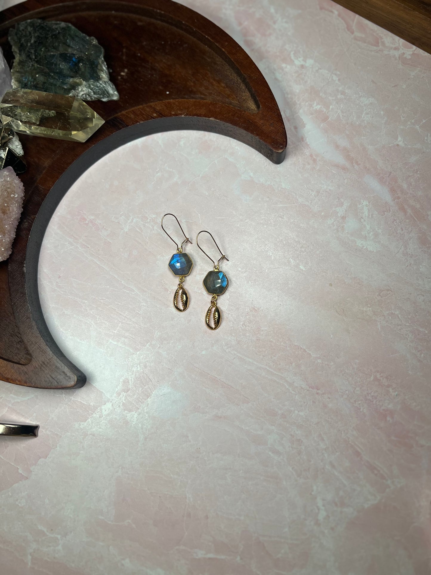 Cowrie Earrings - Luna Leigh Collective