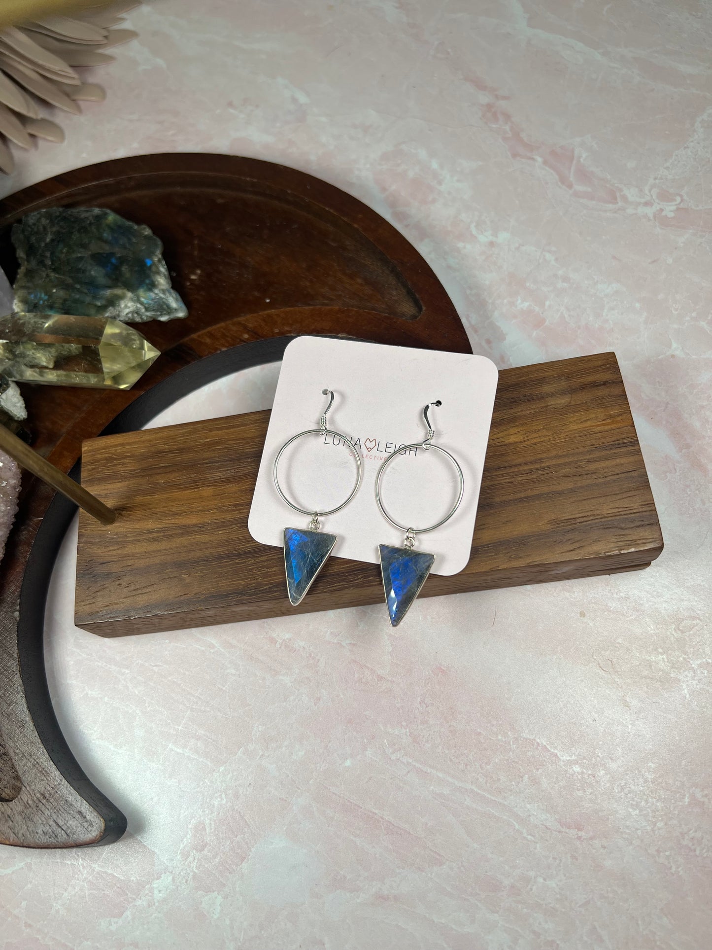 Raven Earrings - Luna Leigh Collective