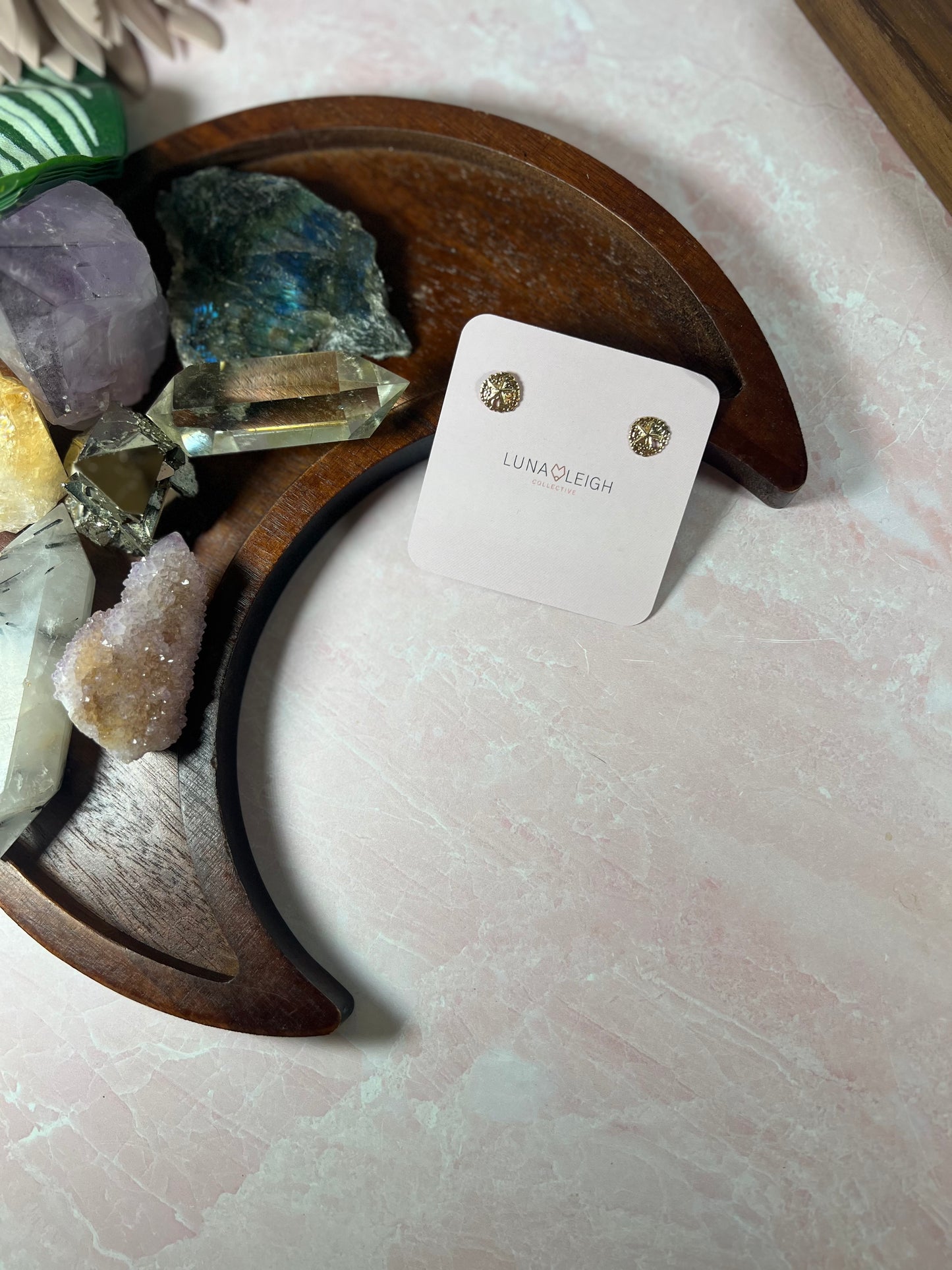 Sand dollar Studs - Luna Leigh Collective