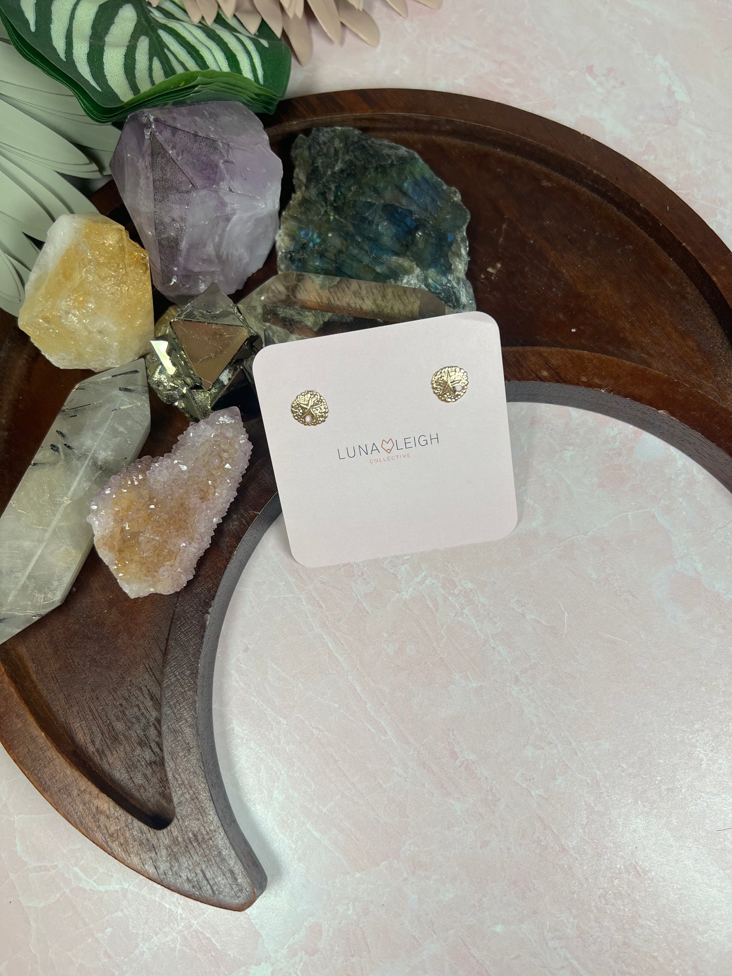 Sand dollar Studs - Luna Leigh Collective